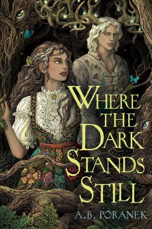 Where the Dark Stands Still by A B Poranek